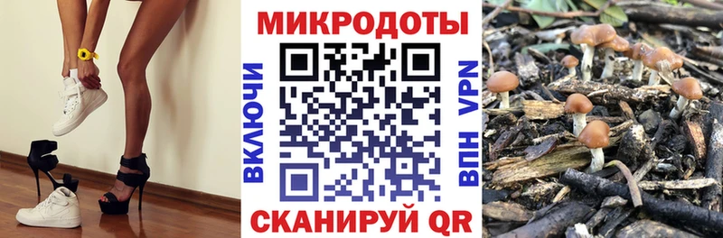 Псилоцибиновые грибы MAGIC MUSHROOMS  Верхоянск 